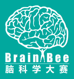 2022 Brain Bee Contest Tutorial (国际脑神经科学大赛辅导)