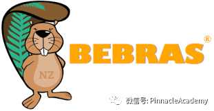 Bebras全球计算思维赛——我从未见过如此有趣的考试