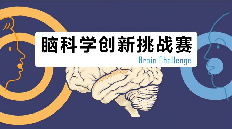 2022年脑科学创新挑战赛（Brain Challenge）开始啦！