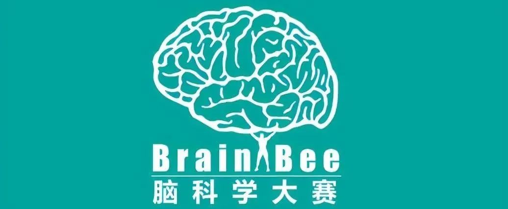 Brainbee脑科学大赛培训课程来啦~零基础也能参加！5-12年级对生物感兴趣的学生不容错过！
