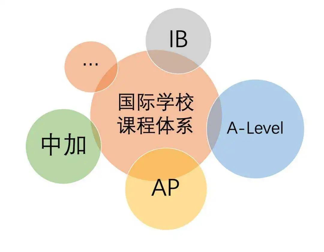 夏老师课堂 | 决定要走美本方向的新高一学生必看的几点建议