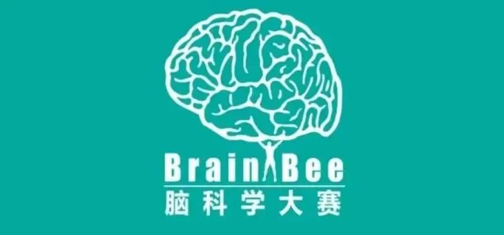 Brainbee脑科学大赛培训课程哪里有？犀牛教育brain bee课程7月27日开课！5-12年级学生都可参赛！