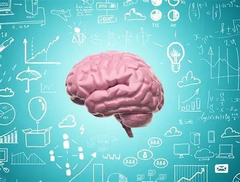 认知神经科学：一些关于脑花儿的事情