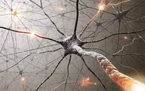 大脑、计算机与神经科学：脑科学能否改变人类的认知世界？
