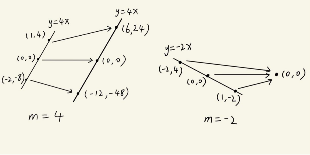 名师课堂 | CIE 数学 FP1 invariant line知识点扩展