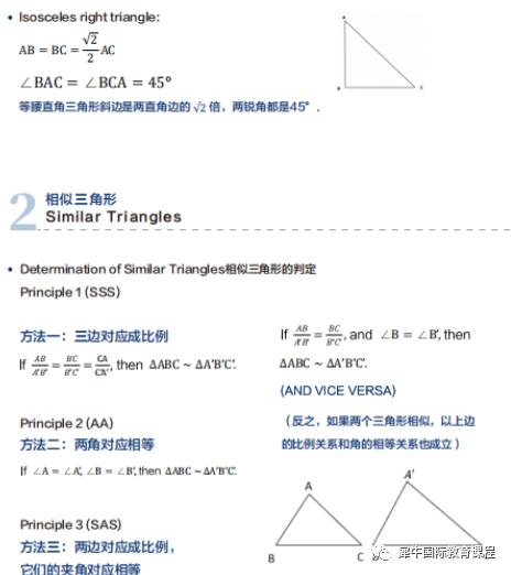 冲击上海“三公”王炸组合：AMC8+小托福！犀牛教育低龄直通车快上车！