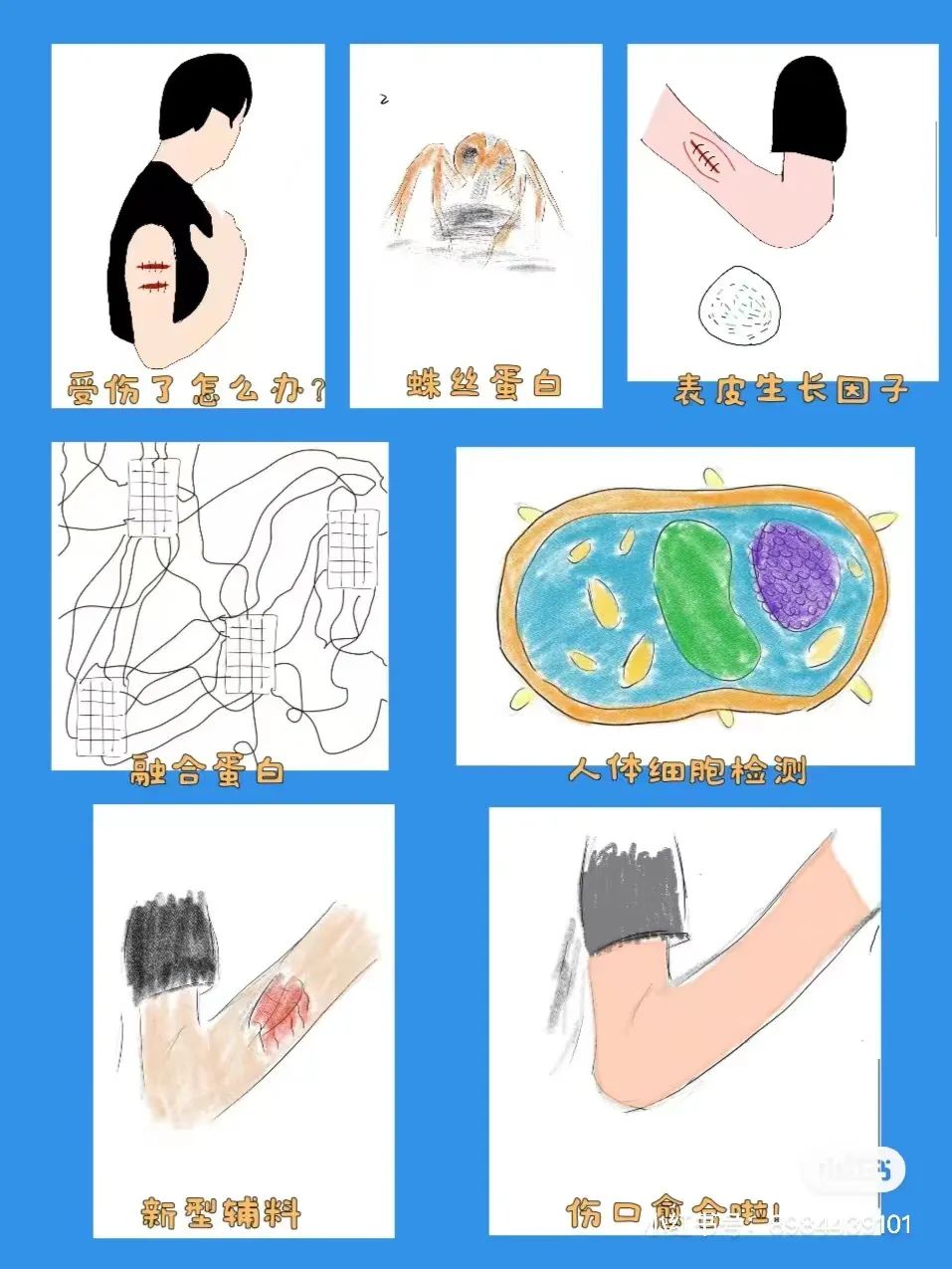 iGEM采访│杭州橄榄树学校OTIA-Hangzhou校队
