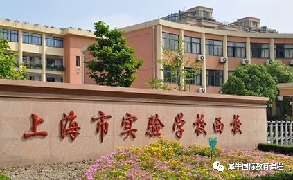 三公上岸后，才发现原来这样的孩子录取率更高！