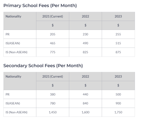 新加坡政府学校VS国际学校怎么选？入学条件、教育体系、学费预算多方面评估