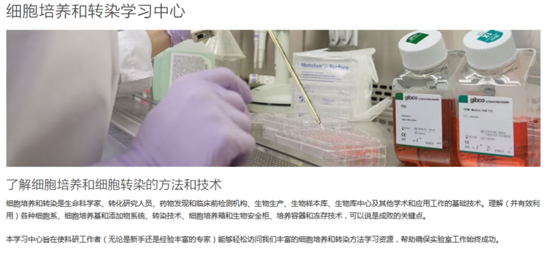 实验室没人教你怎么办？