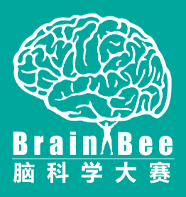 学生物的学生都在关注的Brainbee脑科学大赛究竟是什么？