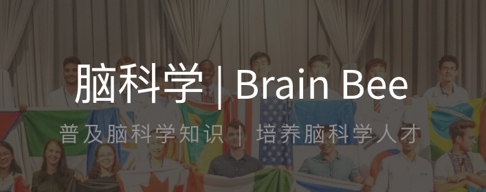 竞赛 | 有机会代表中国参与欧洲神经科学学会年会！Brain Bee脑科学竞赛试听课程来了！