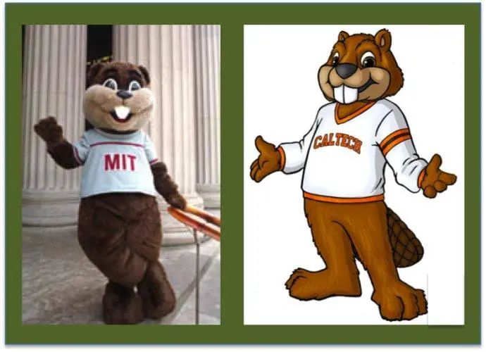 UCLA的金熊，MIT的海狸，美国大学吉祥物背后的故事你知道吗？