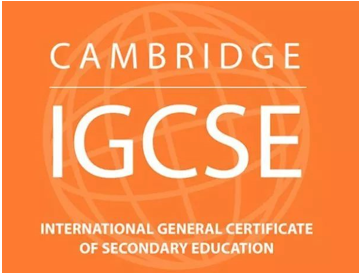 国际生必须要参加IGSCE吗？深国交108位牛剑生在IGCSE选了哪些科目？|犀牛秋季IGCSE课程推荐