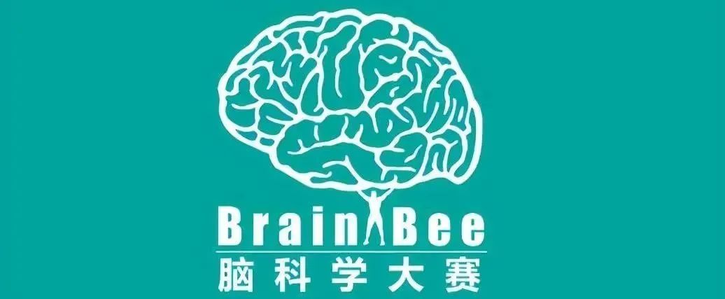 Brain Bee竞赛最全指南！报名流程+Brain Bee必读书籍汇总！