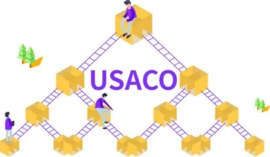 卷到极致的CS专业都是怎样申请上的？快来Pick USACO宝藏竞赛！