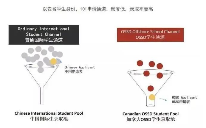 OSSD不出国就能注册加拿大学籍，申请全球顶级名校！