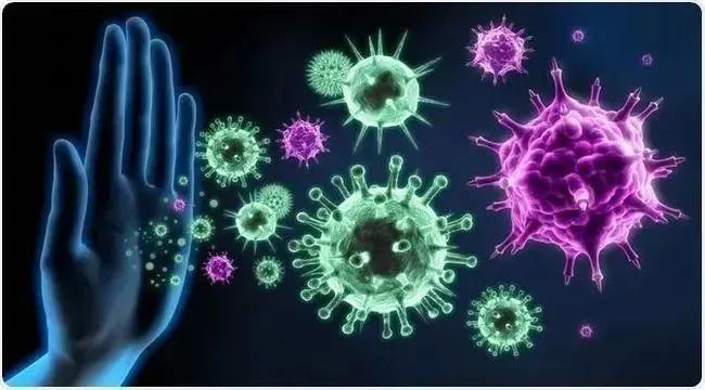 【1V3线上科研】免疫系统原理机制及疾病抗体研究