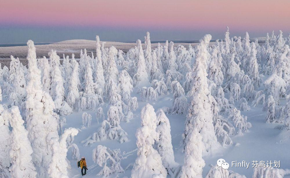 2023芬兰夏令营开启报名 | 体验本土特色课程，游览芬兰美景！