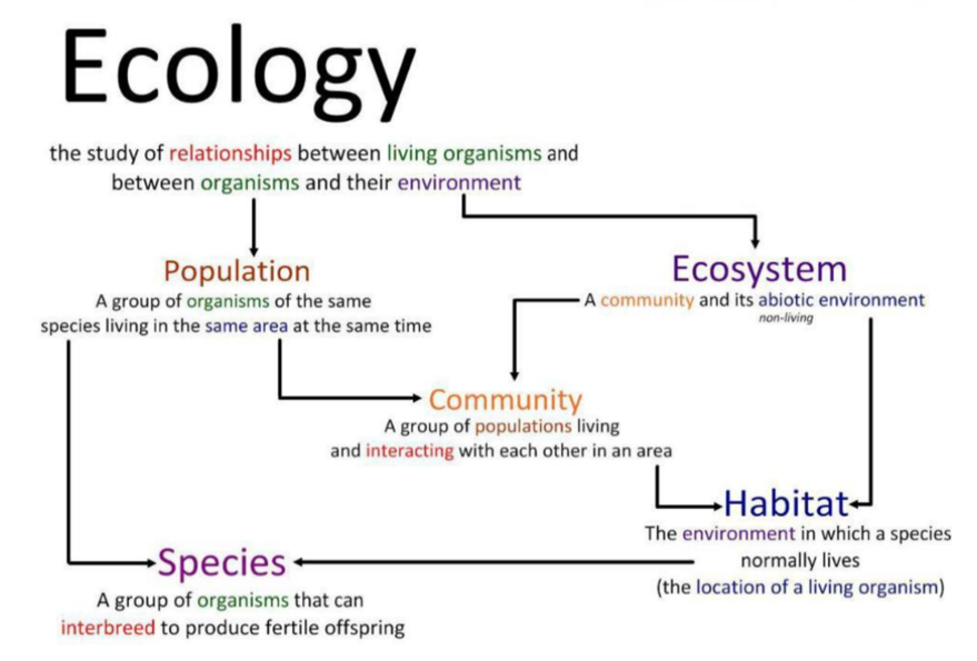 【IB生物考前复习】生态学到底要学什么？（上）