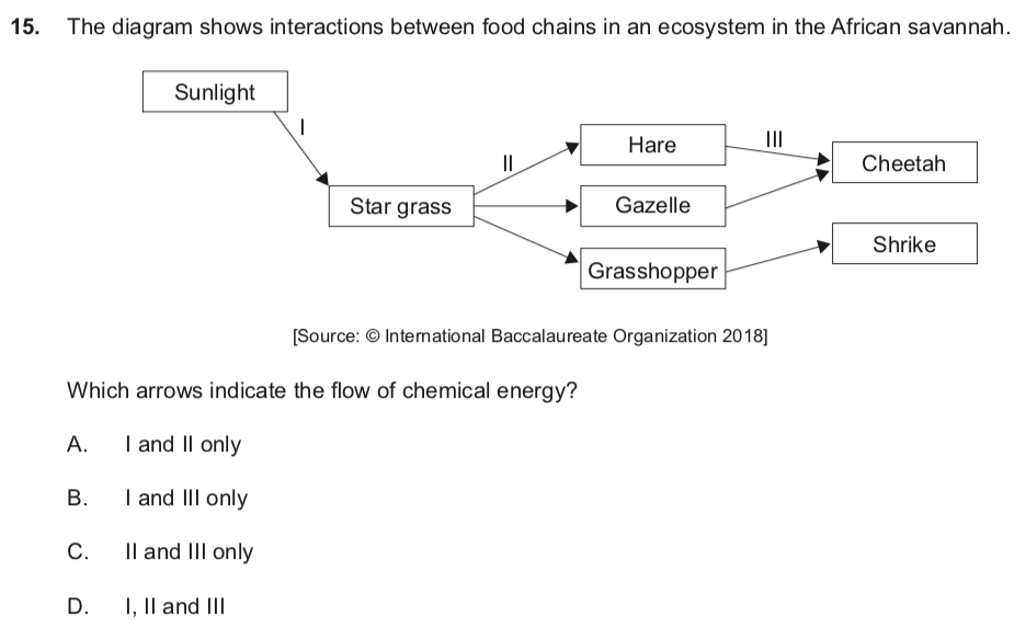 【IB生物考前复习】生态中的能量怎么就流失了？