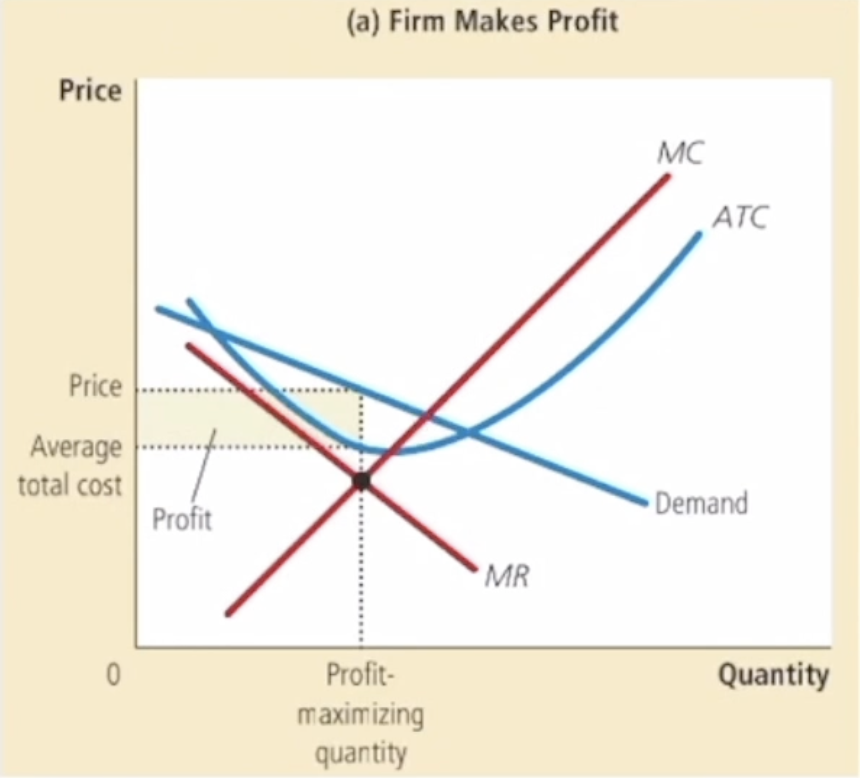AP 经济超高频考点解析：垄断的长期利润情况 （Profit Situations of Monopolistic）