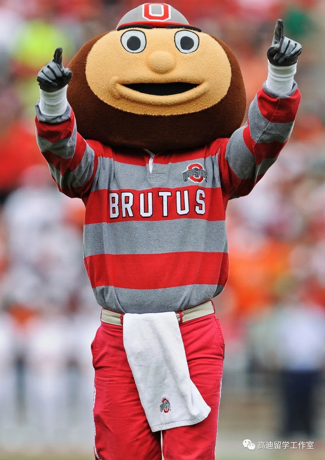 盘点美国各个大学奇葩可爱的吉祥物 - 国际竞赛联盟