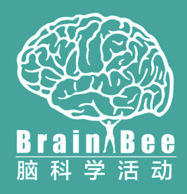 三大生物竞赛BBO/USABO/Brainbee考试内容介绍~暑期备考进行中！