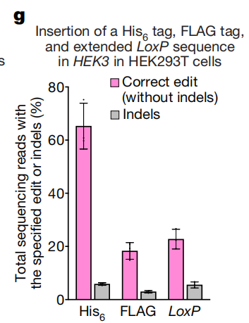 iGEM暑期文献分享（2）——设计无需DSB和供体DNA的基因编辑技术