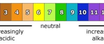 CAIE IGCSE Chemstry笔记分享：Acids, bases and salts