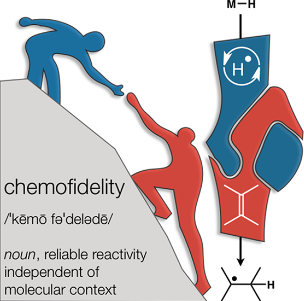 化学新概念：什么是Chemofidelity？