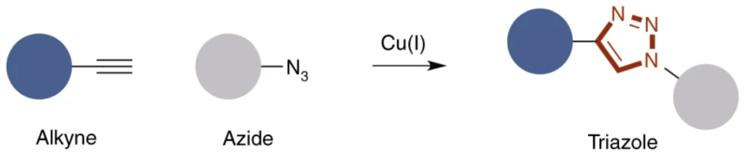 人名反应：叠氮化合物的应用