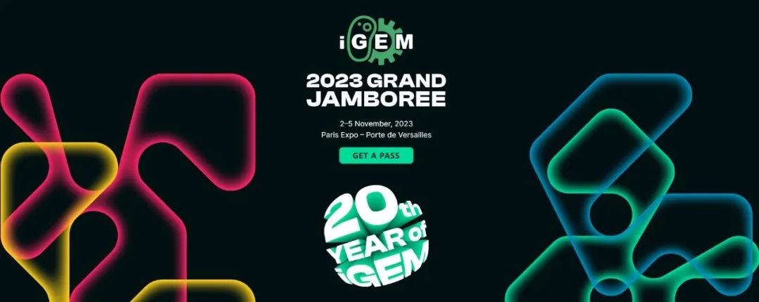精益求精, 跻身全球TOP10 | Worldshaper BIO Teams 在2023年iGEM大赛上再创佳绩