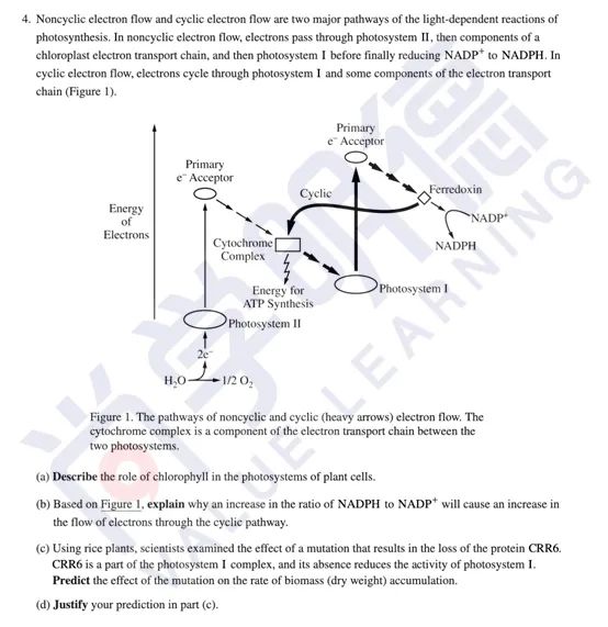 2024AP备考| AP生物考试分析及重难点梳理