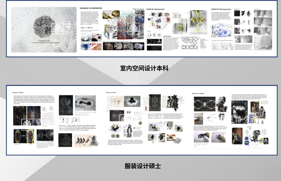 斐洛学院五项全新独家留学项目重磅推出！