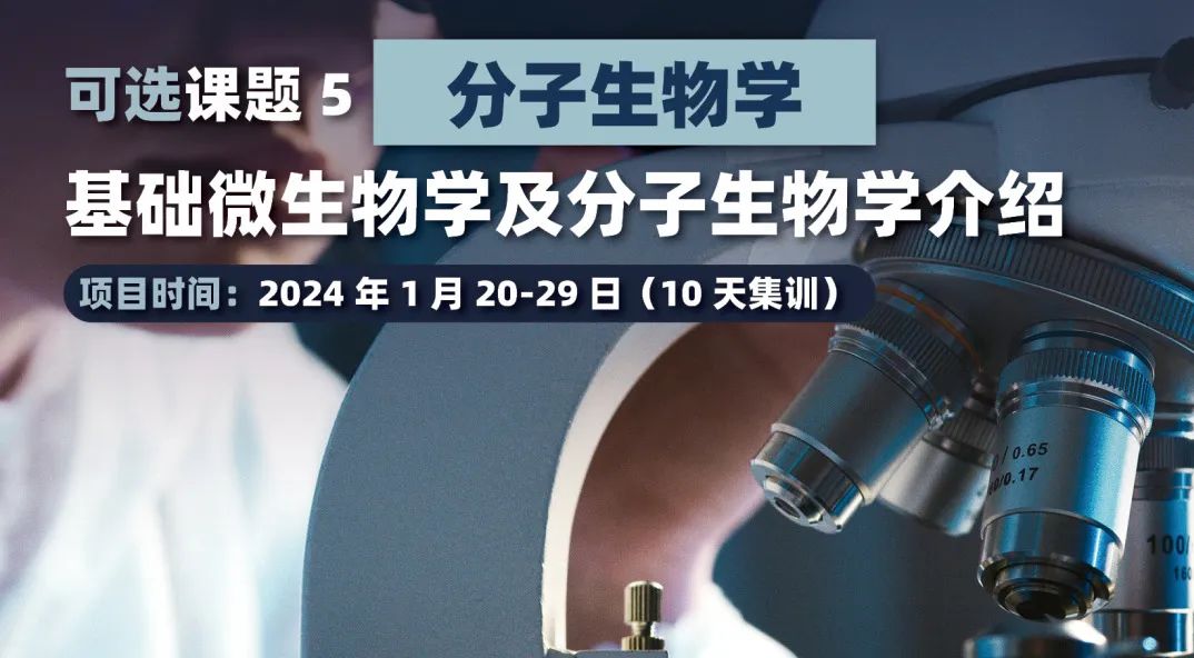 【物理/化学/生物/医学/AI】目前国内唯一的牛津大学高等研究院（苏州）官方冬校项目开申！