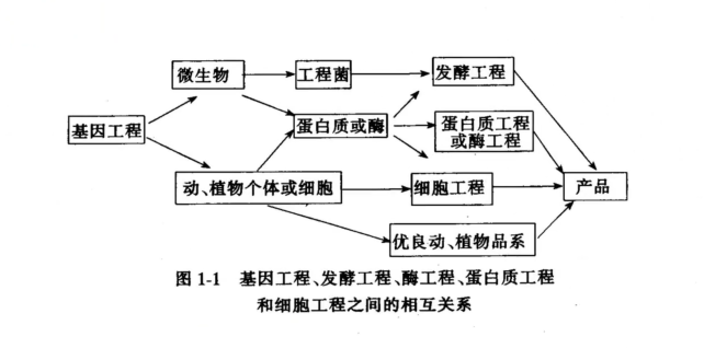 教授谈学术 | 生物真的是天坑专业吗？