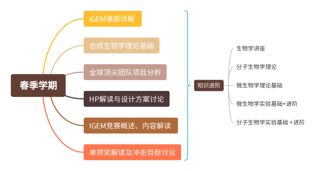 连续四年金奖！iGEM2024等你来挑战！