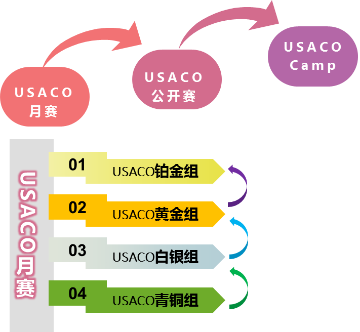 哈佛女孩从USACO竞赛满分到2亿AI公司，她为什么选择USACO竞赛？.