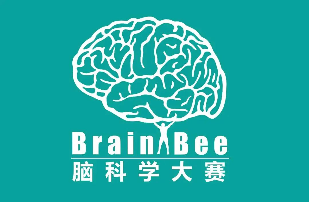 【生物竞赛课程】2024年Brainbee脑科学大赛有哪些活动环节？为什么参赛人数年年递增？