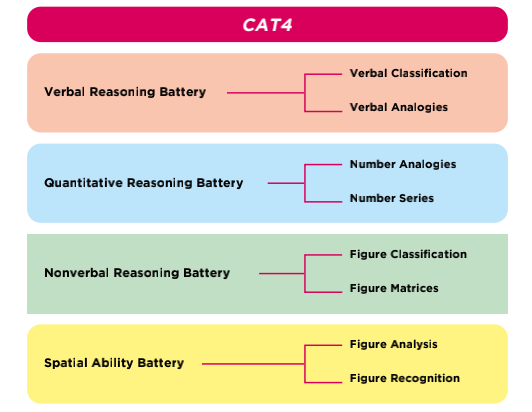 CAT4考试都考什么？四大板块八大题型全解析