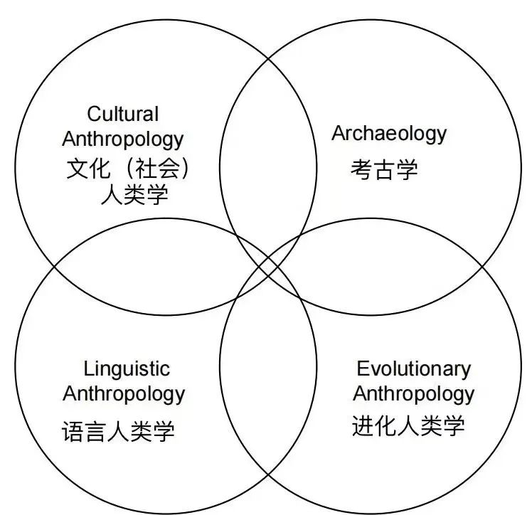 英国留学 I Anthropology人类学