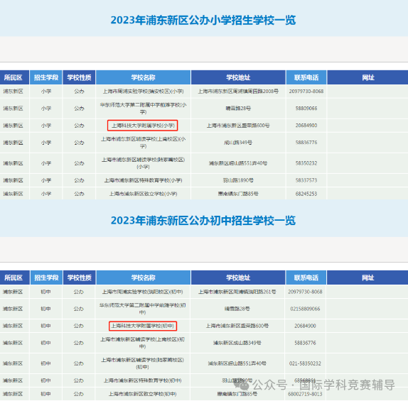 浅谈上海三公变四公是不是真的？1-4年级上海“四公”备考规划