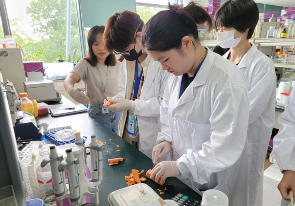 深度探讨！在iGEM竞赛中如何找准自己的定位，你真的知道吗？