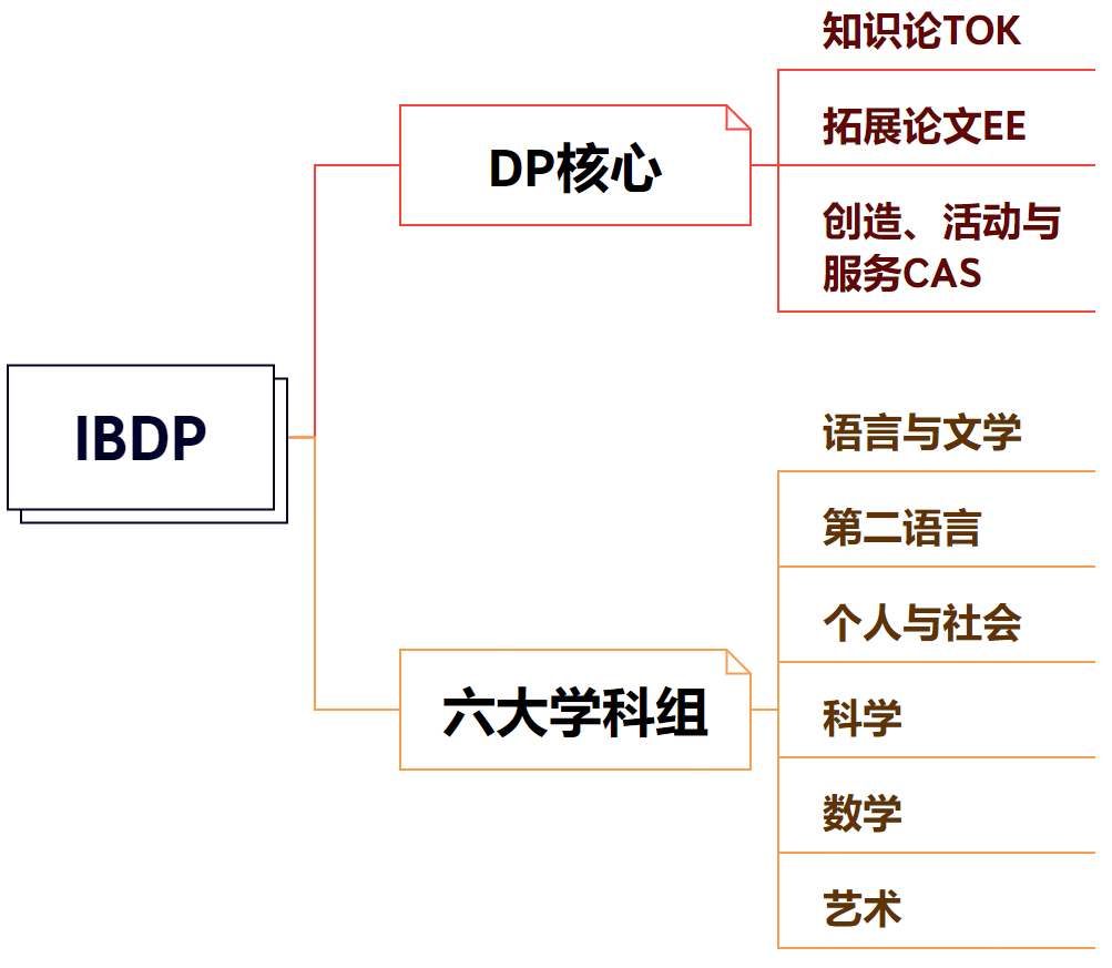 三大国际课程体系怎么选？来抄学霸作业！