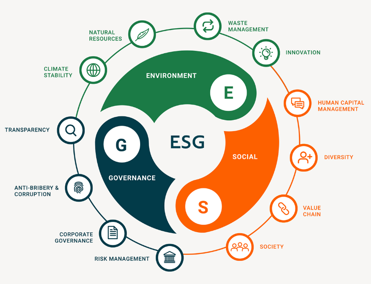 香港理工大学MSc ESG & Sustainability课程首届就读体验学长分享