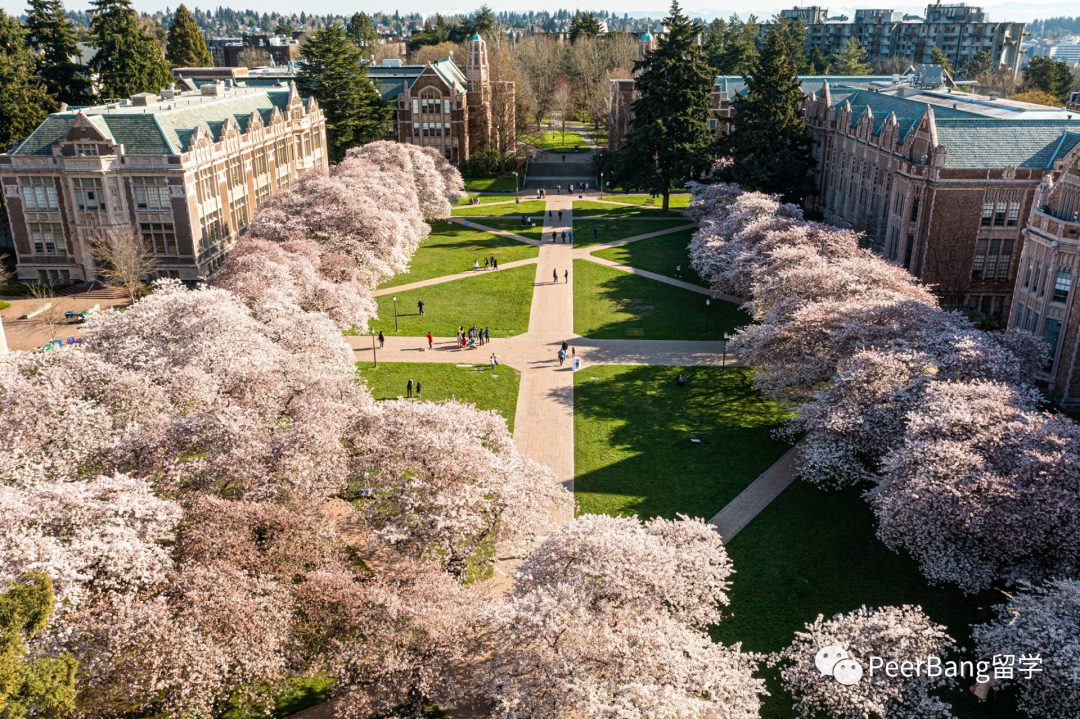 太香了！这所世界前10的美国大学，原来录取率高达近50%！？