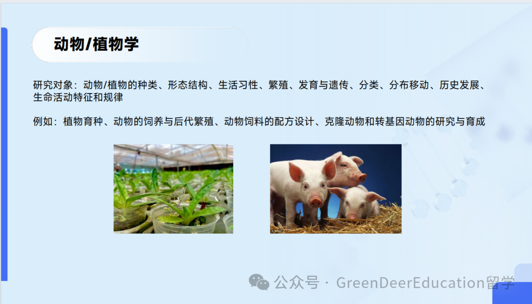 GreenDeer 本科专业探索 | 生物&化学