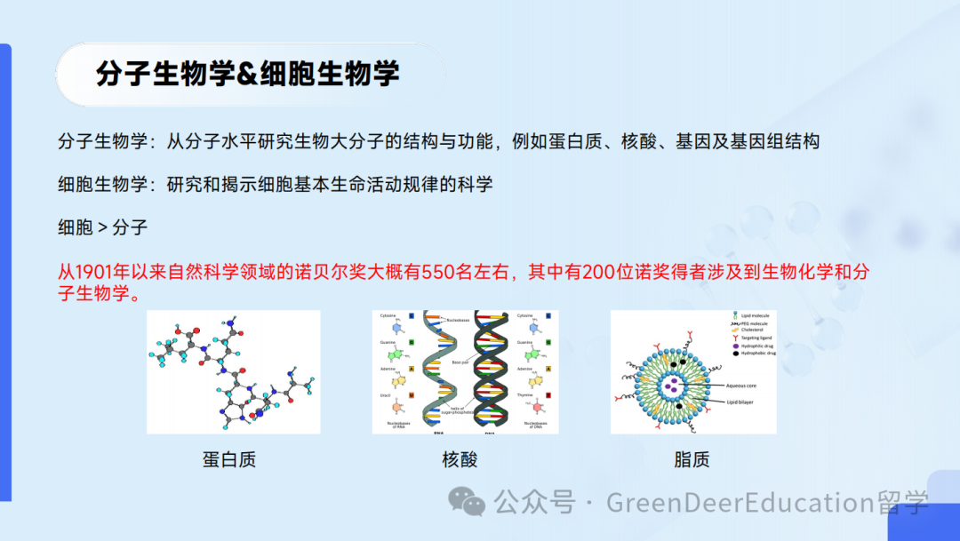 GreenDeer 本科专业探索 | 生物&化学