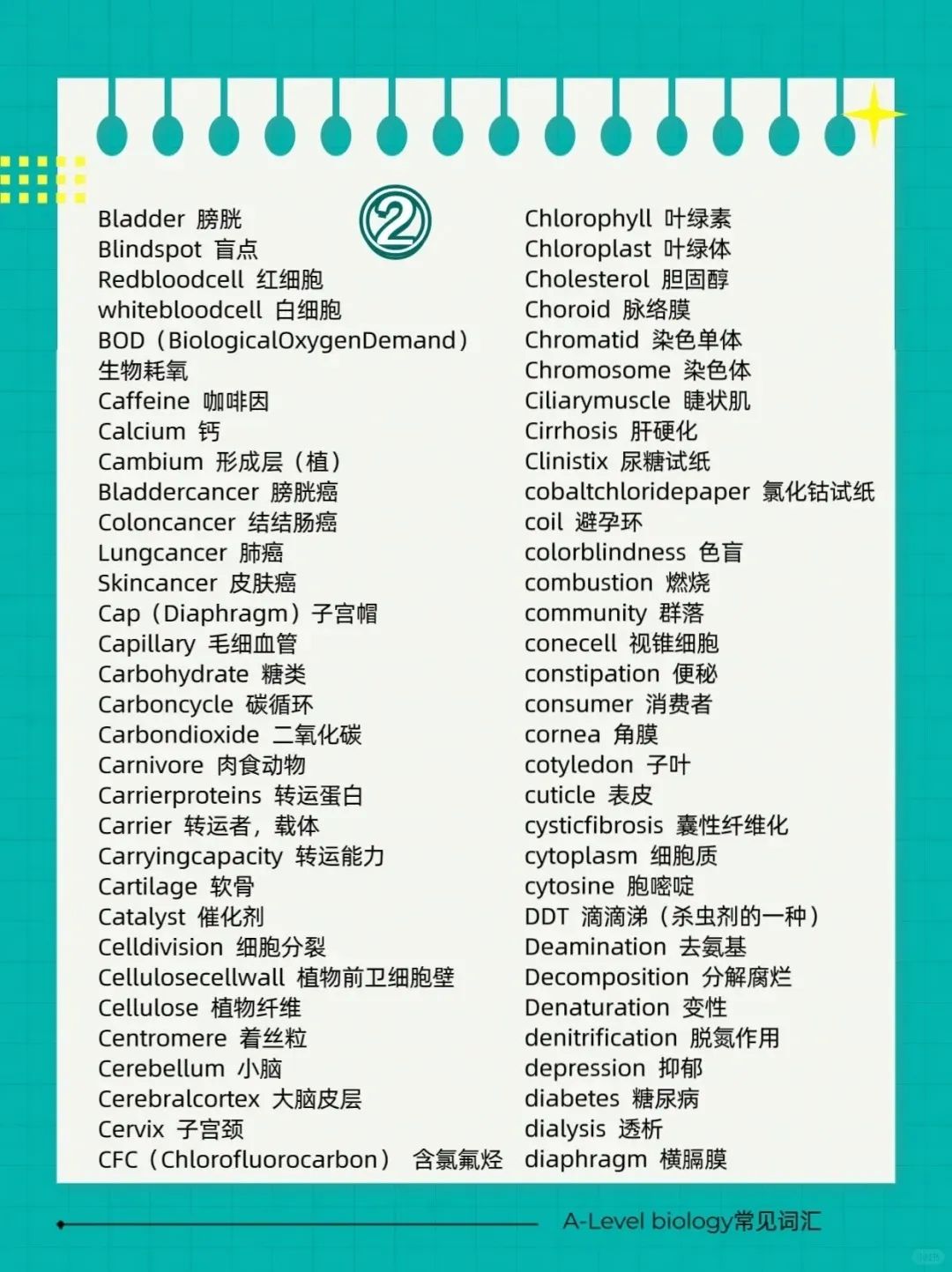 Alevel生物快速提分方法都在这里面了！